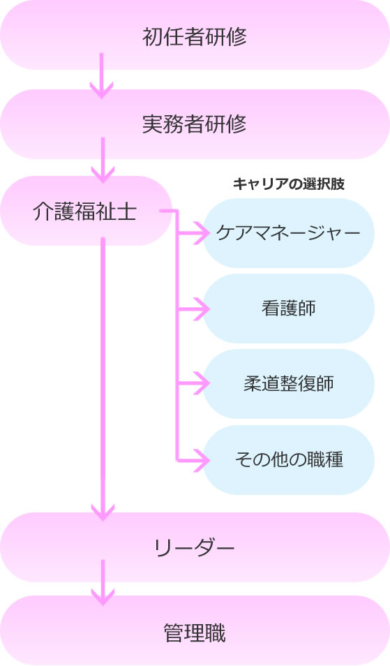 キャリアパスフローチャート